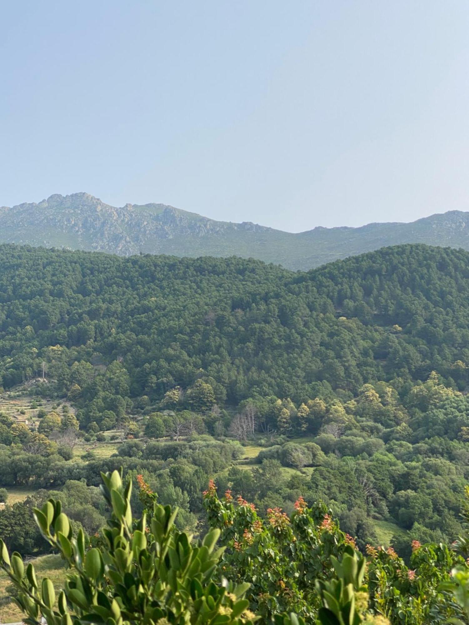 Vila El 42 Mijares Exteriér fotografie
